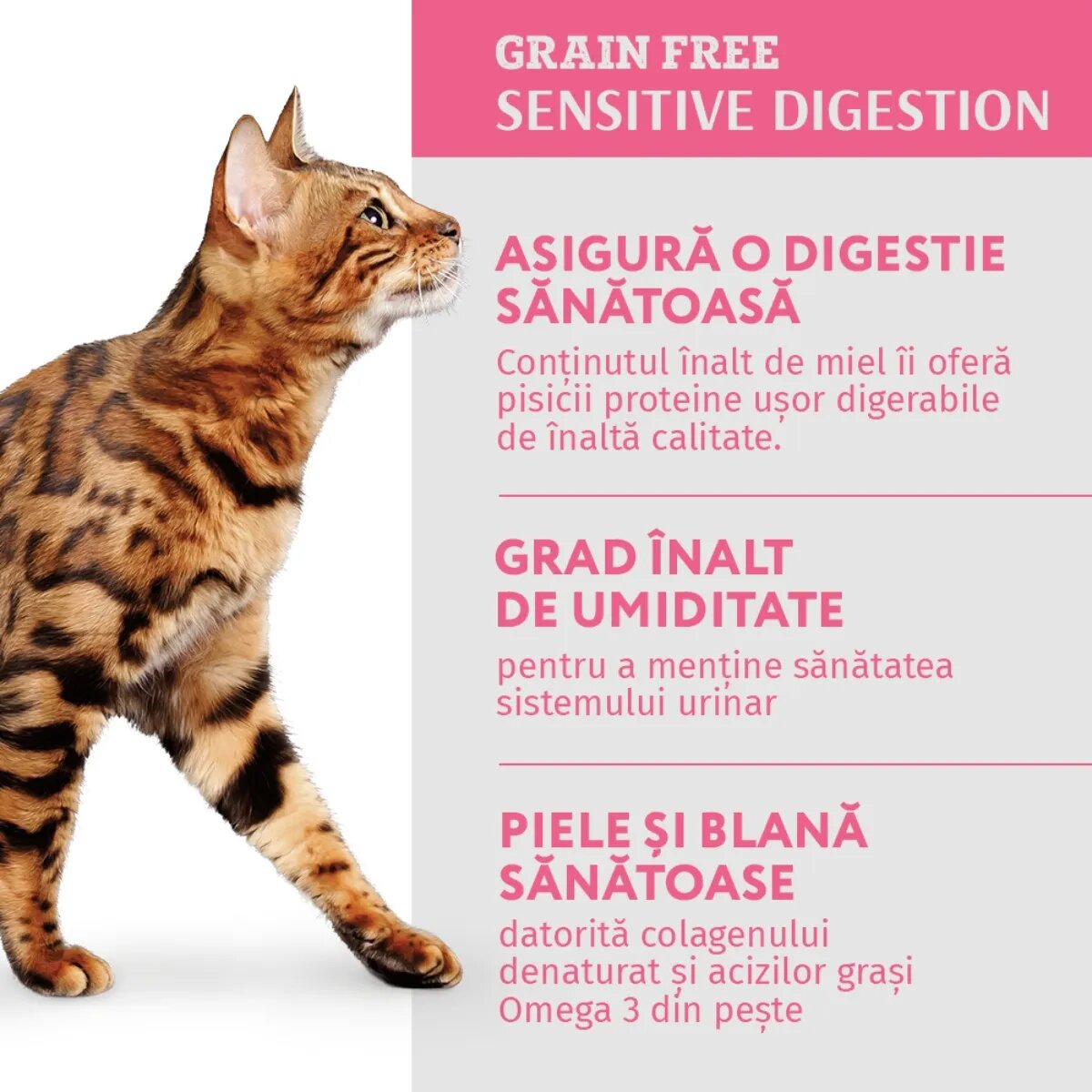 OPTIMEAL Sensitive Miel și Curcan hrană umedă pisici sensibilități digestive (în sos) Sensitive Miel și Curcan hrană umedă fără cereale pisici sistem digestiv (în sos) 85g