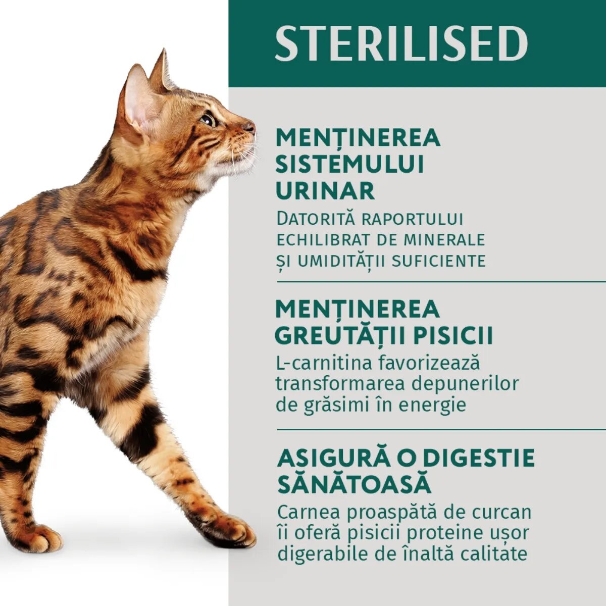 OPTIMEAL Sterilised Pui și Curcan hrană umedă pisici sterilizate (în sos) Sterilised Pui și Curcan plic hrană umedă pisici sterilizate (în sos) 85g
