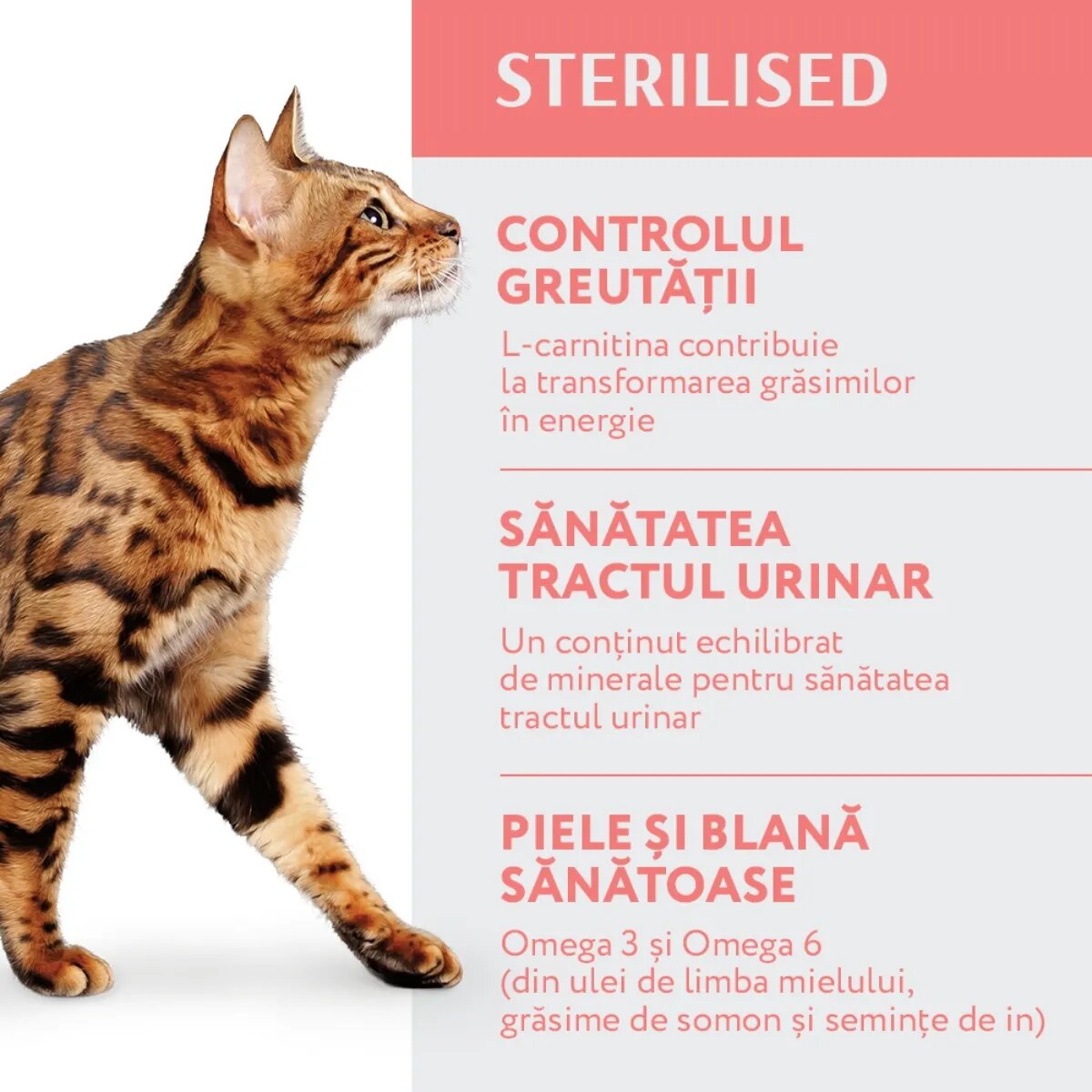 OPTIMEAL Sterilised Vită cu Sorg hrană uscată pisici sterilizate Sterilised Vită hrană uscată pisici sterilizate 1.5kg