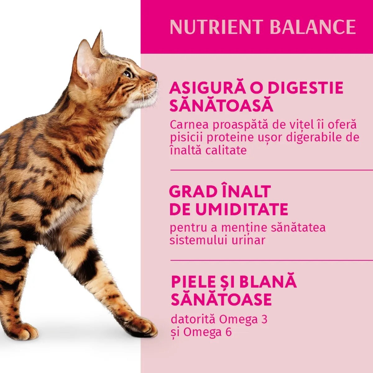 OPTIMEAL Vită cu Merișoare hrană umedă pisici (în sos) Vită plic hrană umedă pisici (în sos) 85g