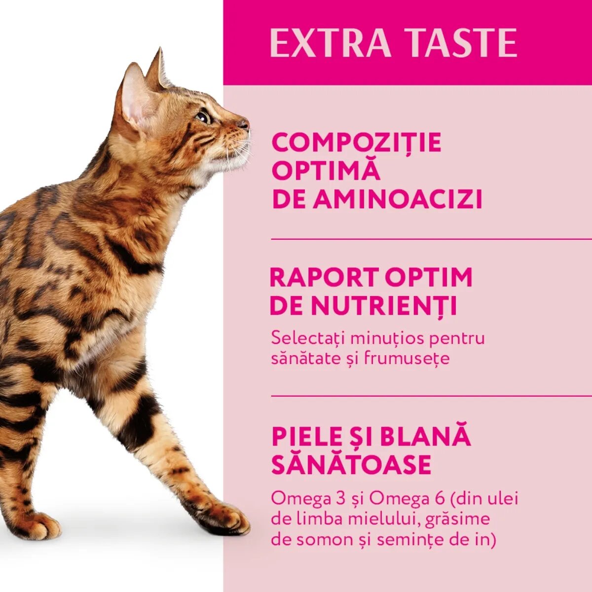 OPTIMEAL Vită hrană uscată pisici 700g