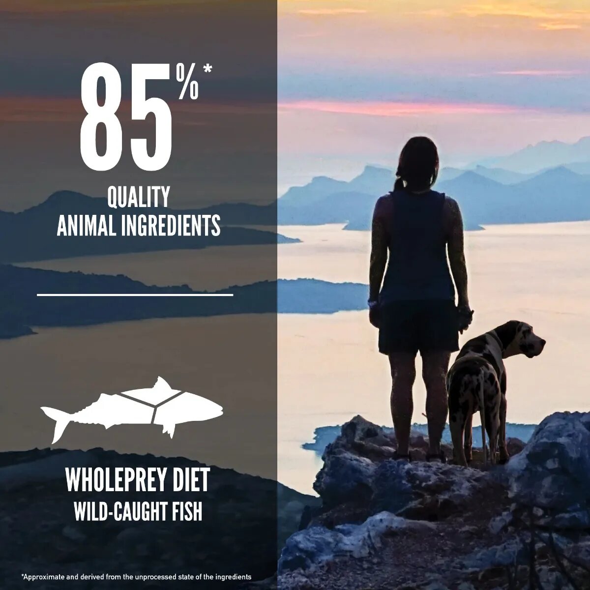 Orijen Six Fish hrană uscată fără cereale câini 2kg