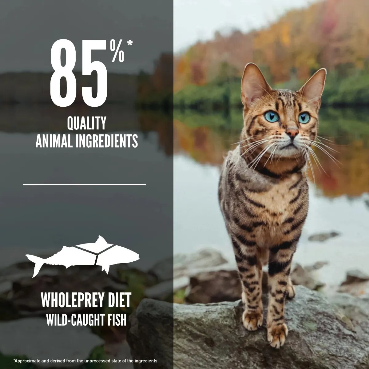 Orijen Six Fish Pește hrană uscată fără cereale pisici 5.4kg Six Fish Pește hrană uscată fără cereale pisici 1.8kg