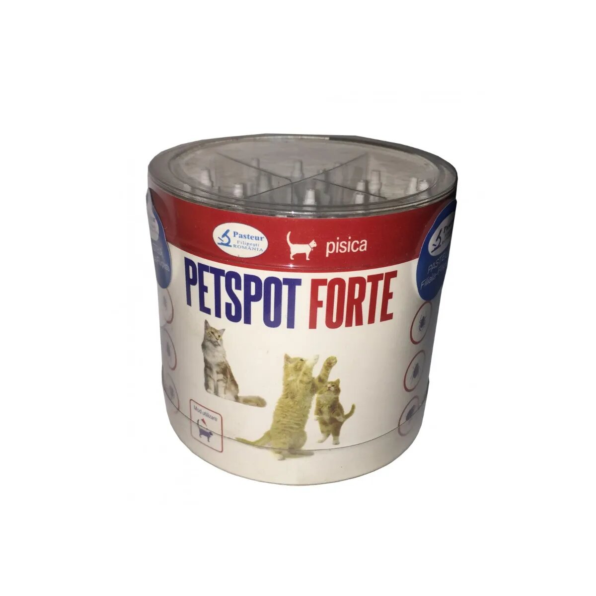 Pasteur Pet Spot Forte P deparazitare externă pisici pipetă 1.5ml x 1buc