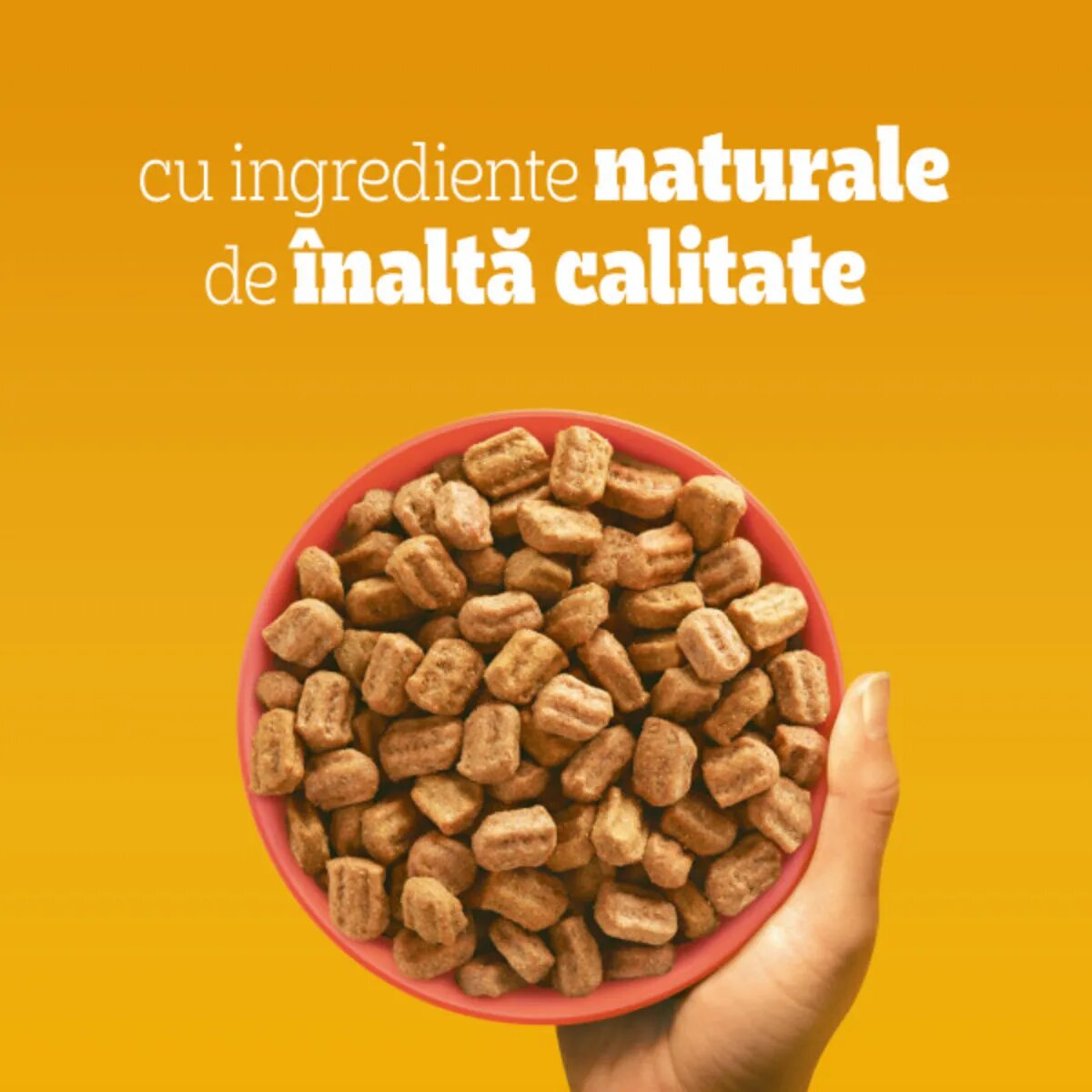 PEDIGREE Adult M-XL Vită și Legume hrană uscată câini 3kg