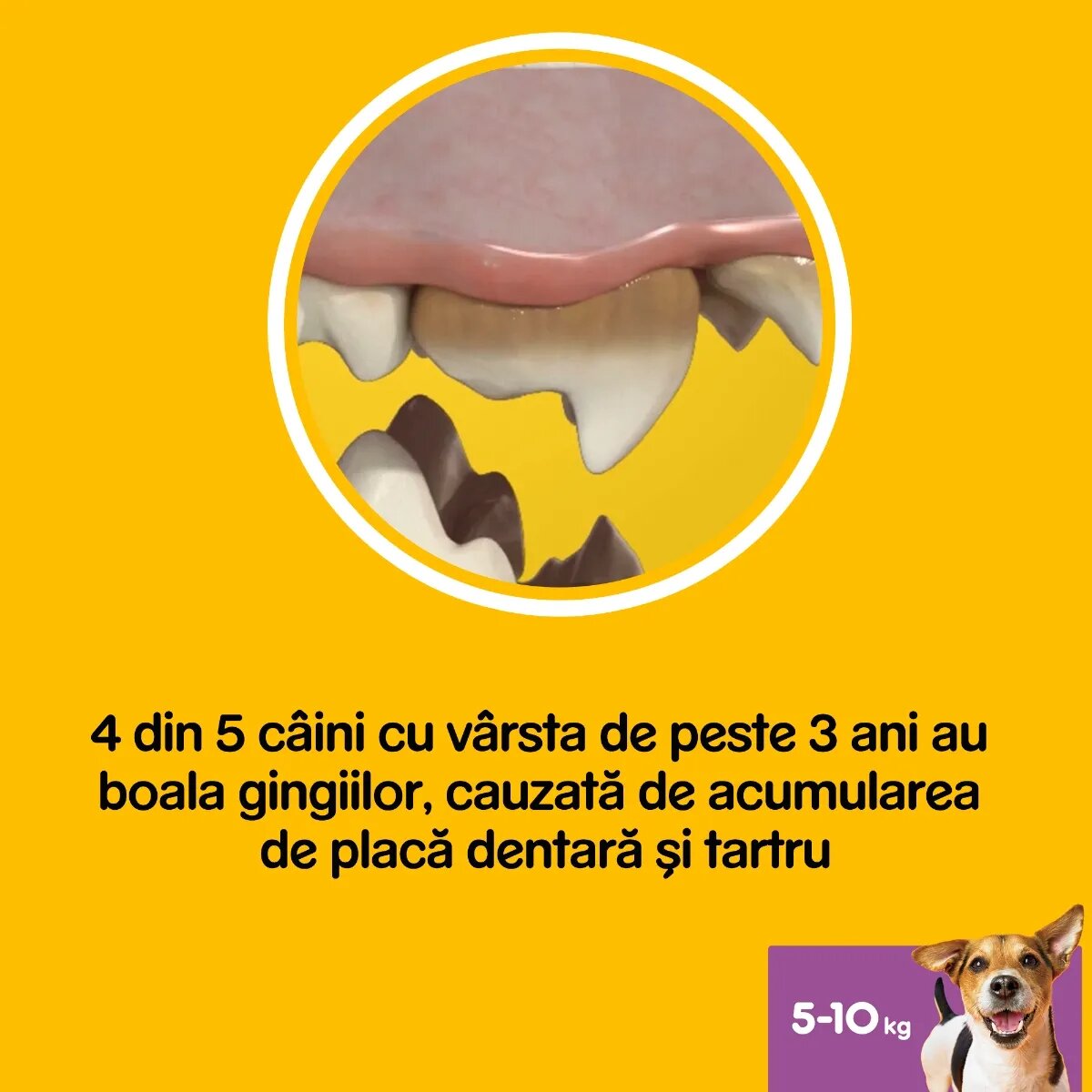 PEDIGREE DentaStix Daily Fresh recompense câini talie mica batoane ceai verde 7buc
