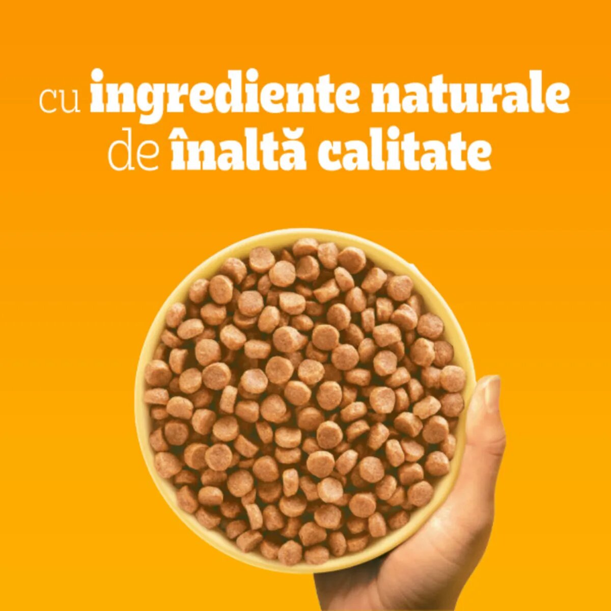PEDIGREE Junior M-XL Pasăre și Legume hrană uscată câini junior 10+2kg GRATUIT
