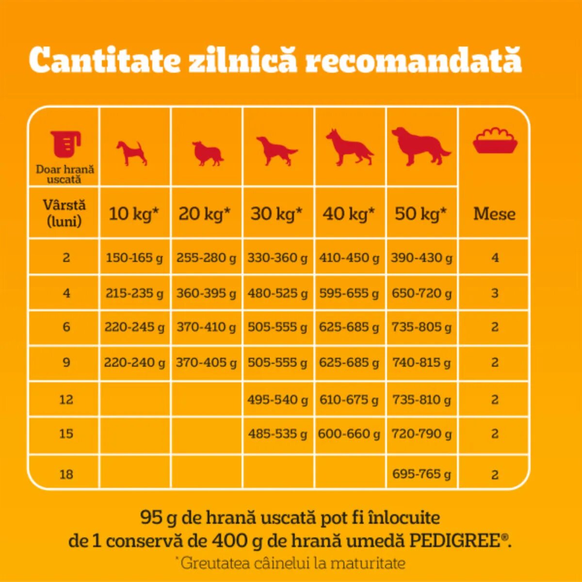 PEDIGREE Junior M-XL Pasăre și Legume hrană uscată câini junior 500g