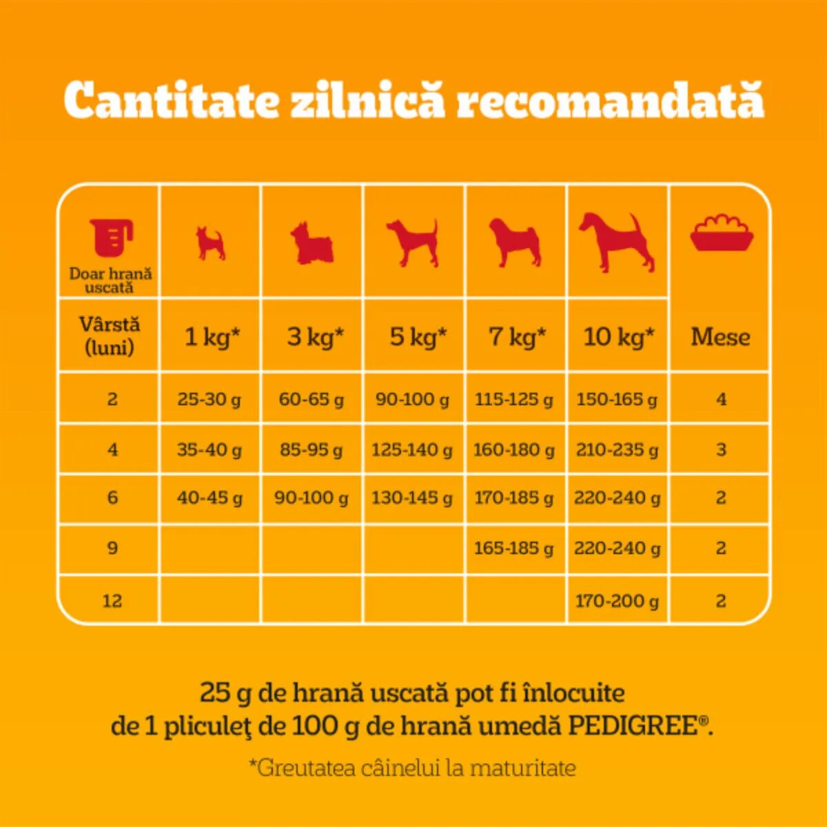 PEDIGREE Junior Mini XS-S Pasăre și Legume hrană uscată câini junior 1.4kg