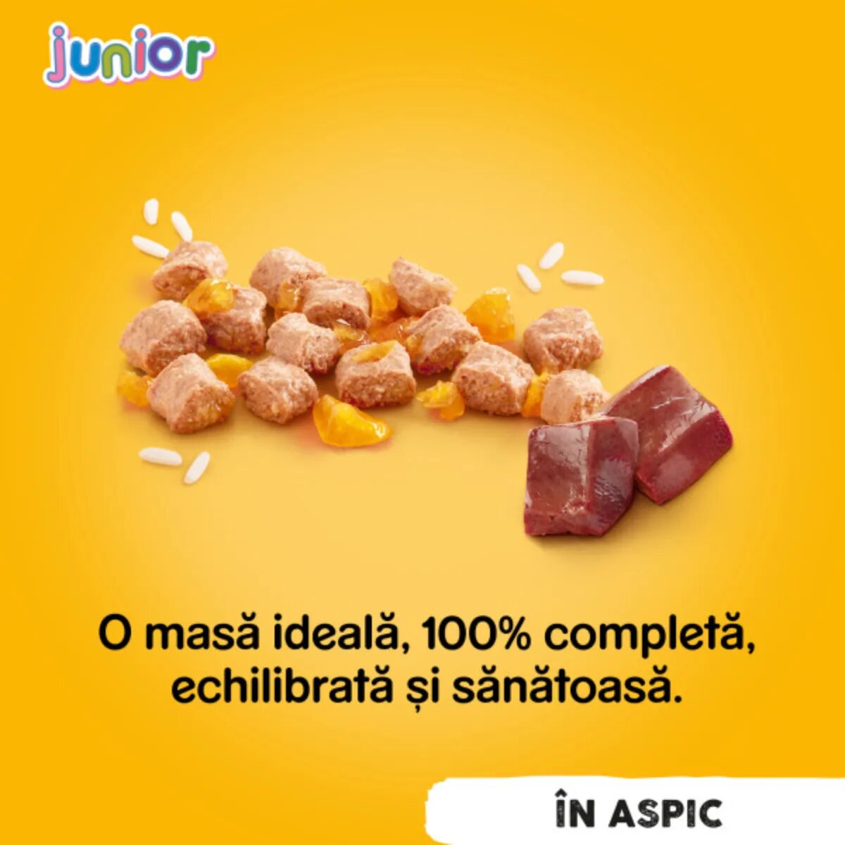 PEDIGREE Junior XS-XL Pui conservă hrană umedă câini junior (în aspic) bax 400g x 24buc