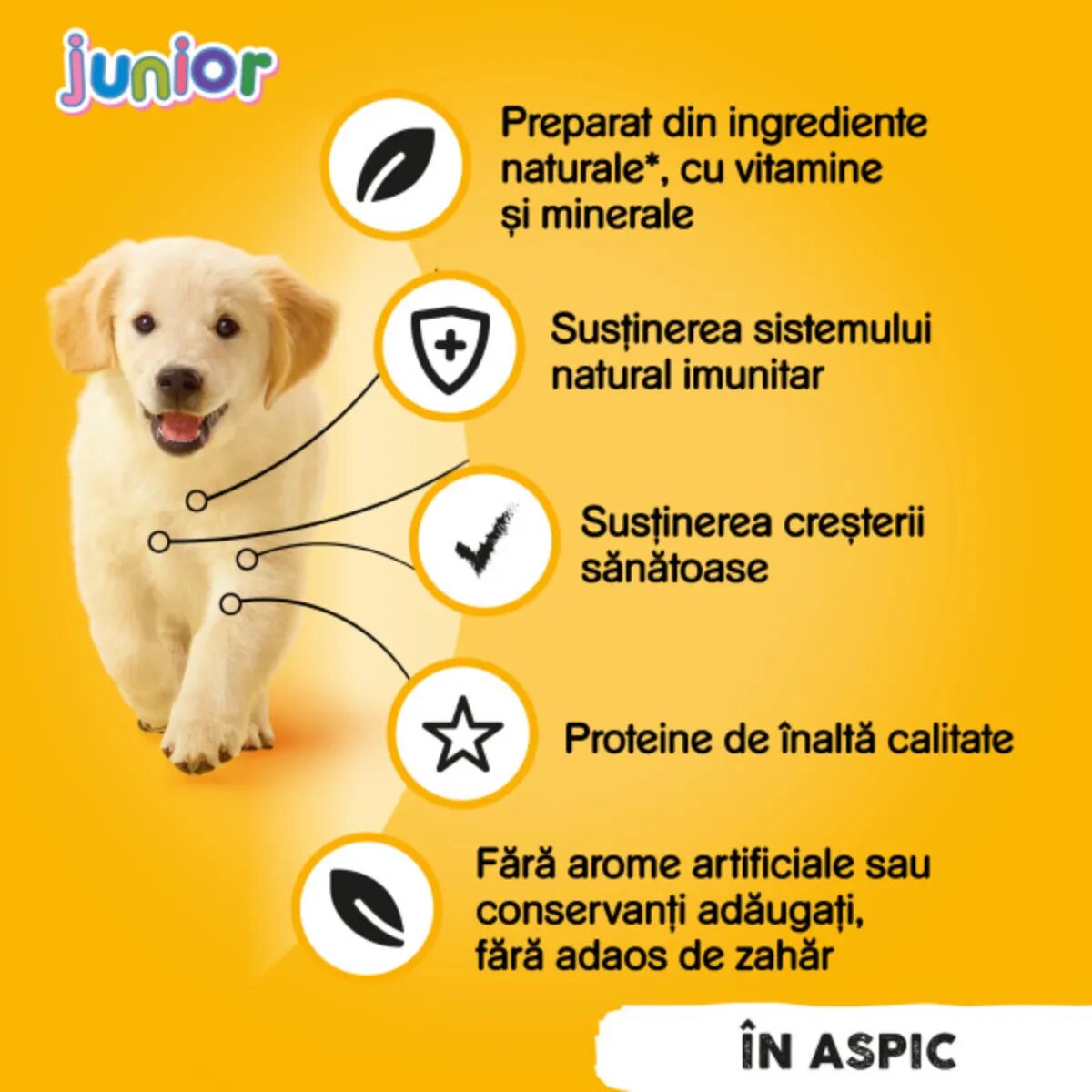PEDIGREE Junior XS-XL Pui conservă hrană umedă câini junior (în aspic) bax 400g x 24buc