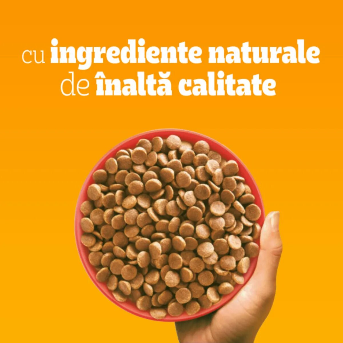PEDIGREE Mini Adult XS-S Vită și Legume hrană uscată câini 10+2kg GRATUIT