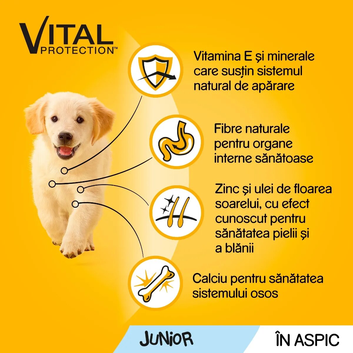PEDIGREE Vital Protection Junior Multipack 4 arome pachet mixt plic hrană umedă câini junior (în aspic) 100g x 12