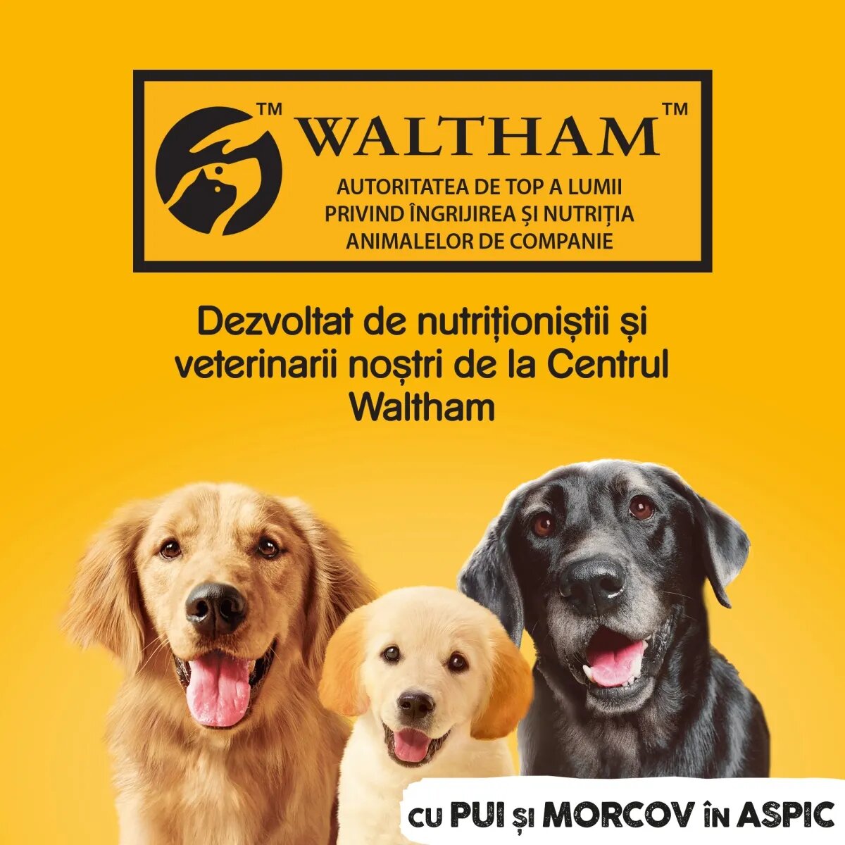 PEDIGREE XS-XL Pui și Morcov conservă hrană umedă câini (în aspic) 1200g