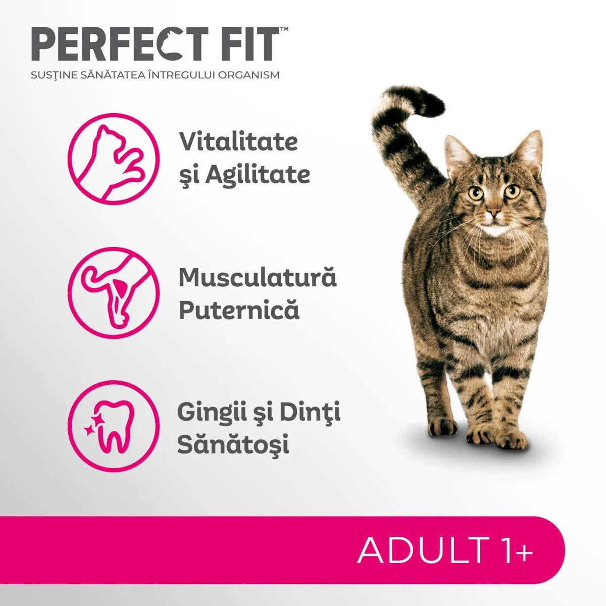 PERFECT FIT Cat Adult 1+ Somon hrană uscată pisici 750g