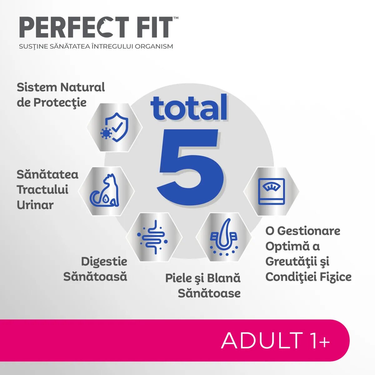 PERFECT FIT Cat Adult 1+ Somon hrană uscată pisici 750g