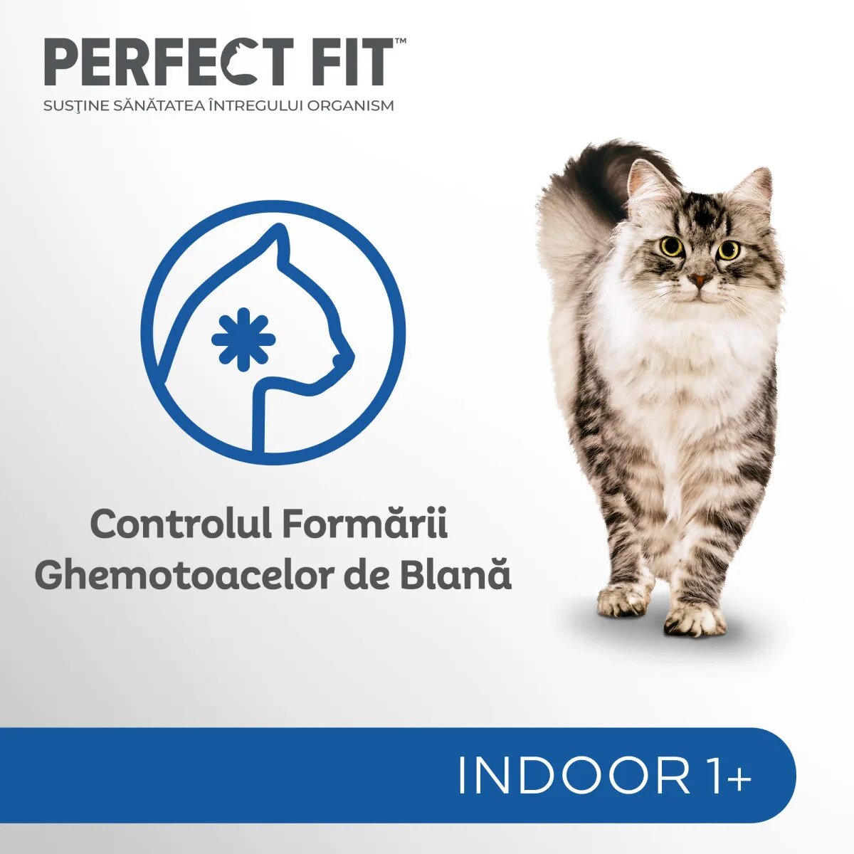 PERFECT FIT Cat Indoor 1+ Pui plic hrană umedă pisici (în sos) bax 85g x 24buc