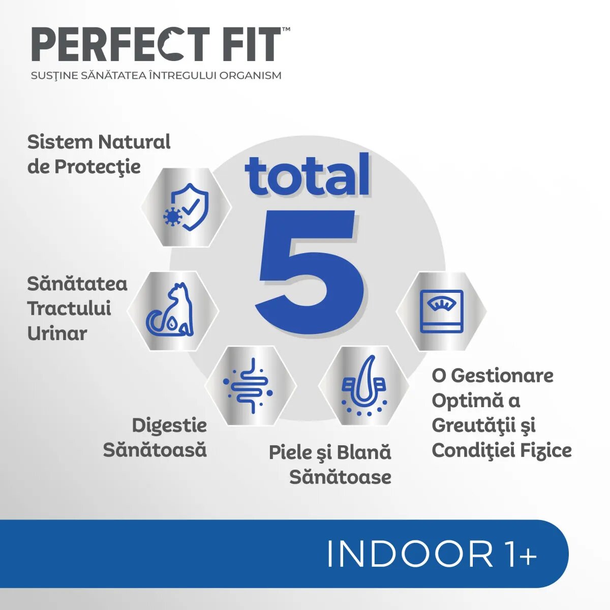 PERFECT FIT Cat Indoor 1+ Pui plic hrană umedă pisici (în sos) bax 85g x 24buc