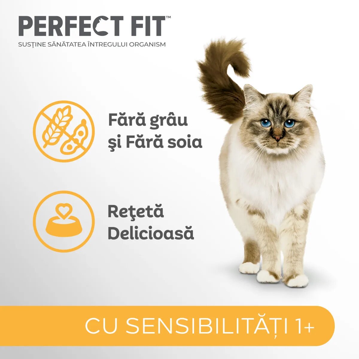 PERFECT FIT Cat Sensitive 1+ Curcan hrană uscată pisici sistem digestiv 7kg
