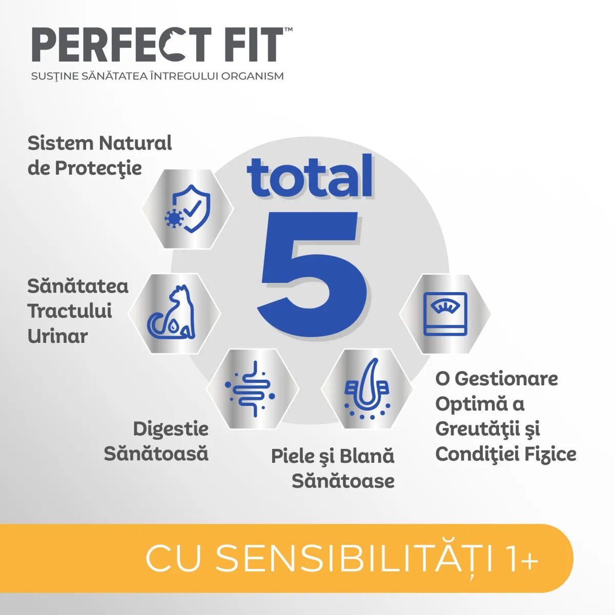 PERFECT FIT Cat Sensitive 1+ Curcan hrană uscată pisici sistem digestiv 7kg