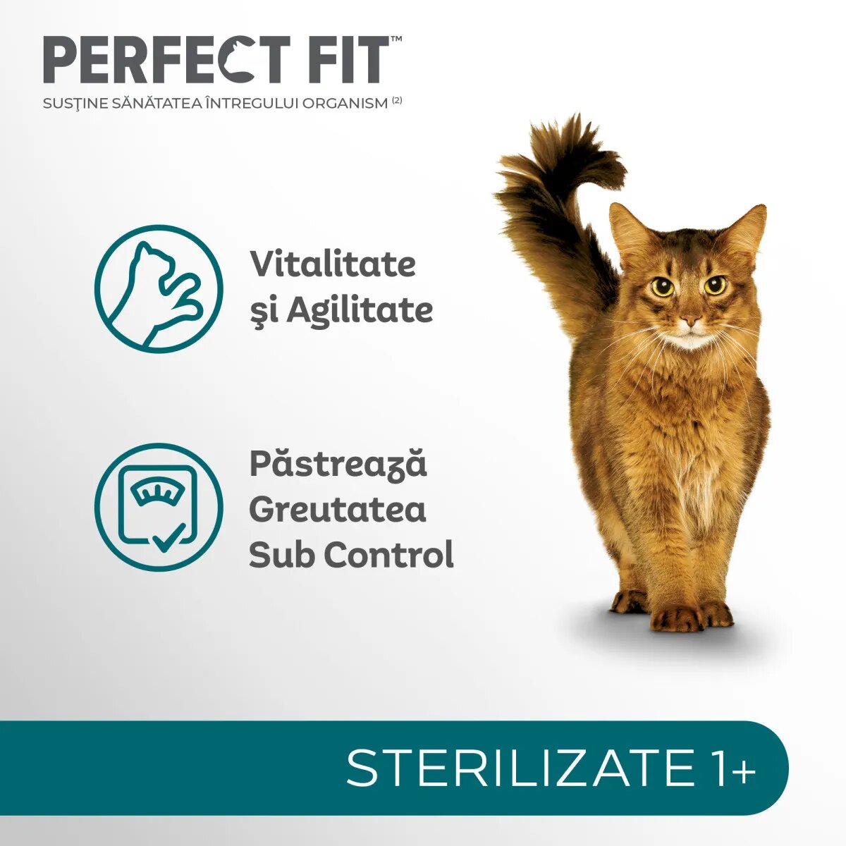 PERFECT FIT Cat Sterile 1+ Pui hrană uscată pisici sterilizate 7kg