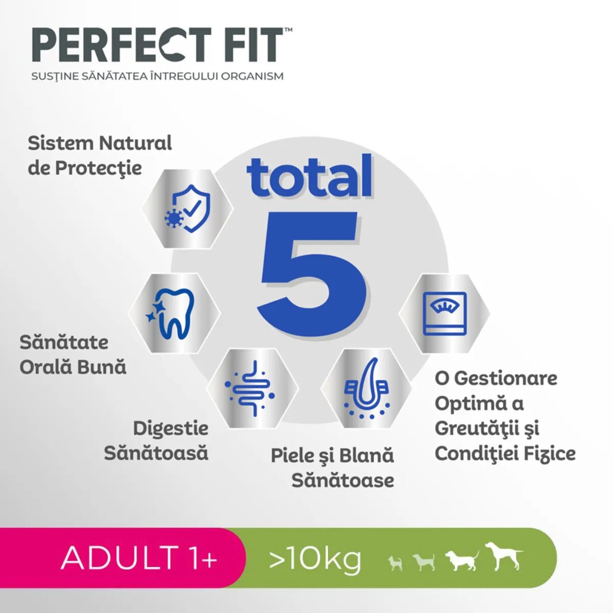 PERFECT FIT Dog Adult 1+ M Pui hrană uscată câini 6kg