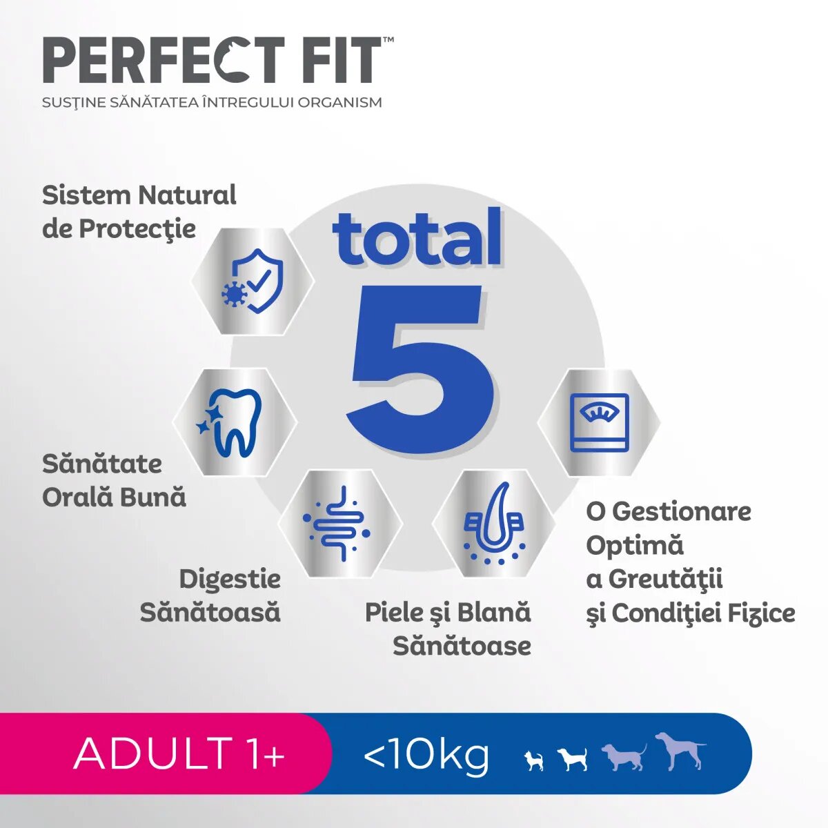PERFECT FIT Dog Adult Small XS-S Pui hrană uscată câini 825g