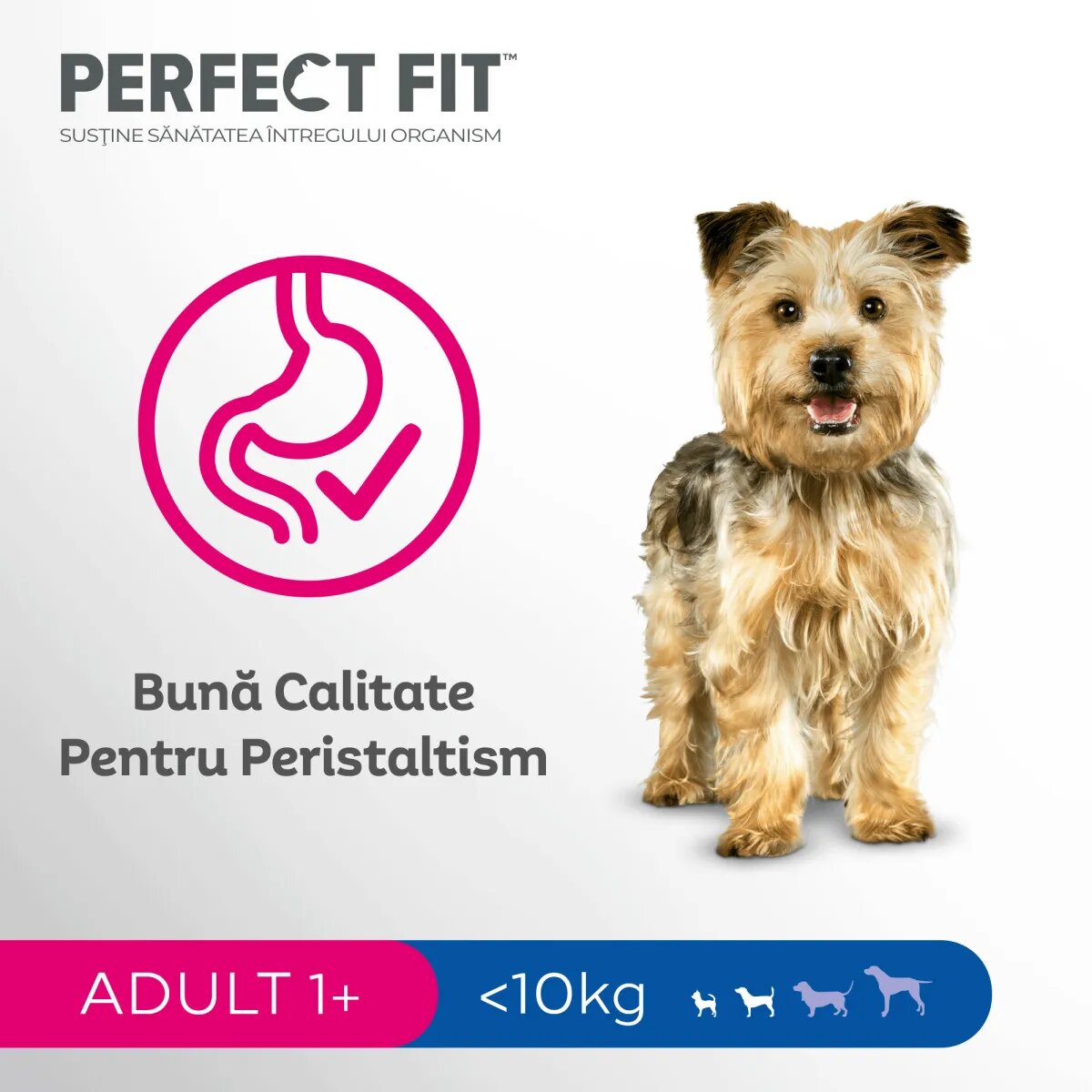 PERFECT FIT Dog Adult Small XS-S Pui hrană uscată câini 825g