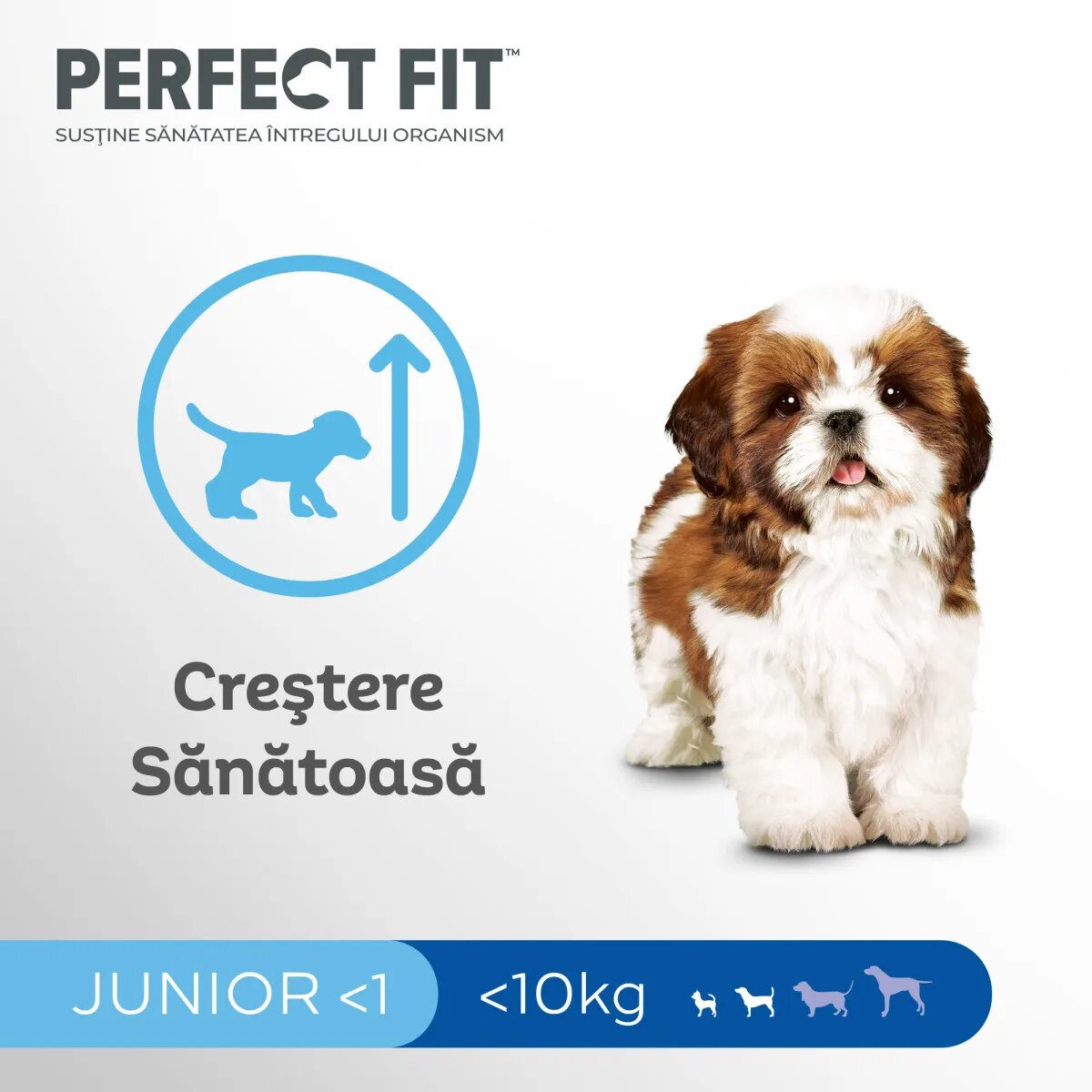 PERFECT FIT Dog Junior Small XS-S Pui hrană uscată câini junior 825g