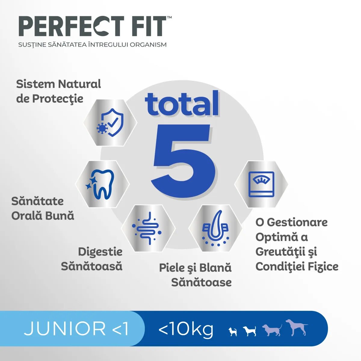 PERFECT FIT Dog Junior Small XS-S Pui hrană uscată câini junior 825g