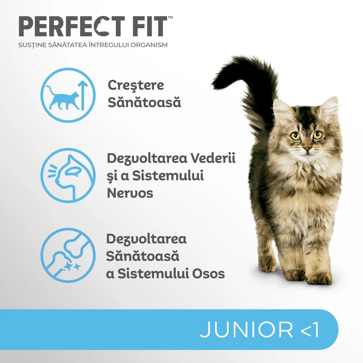 PERFECT FIT Kitten Pui hrană uscată pisici junior 750g