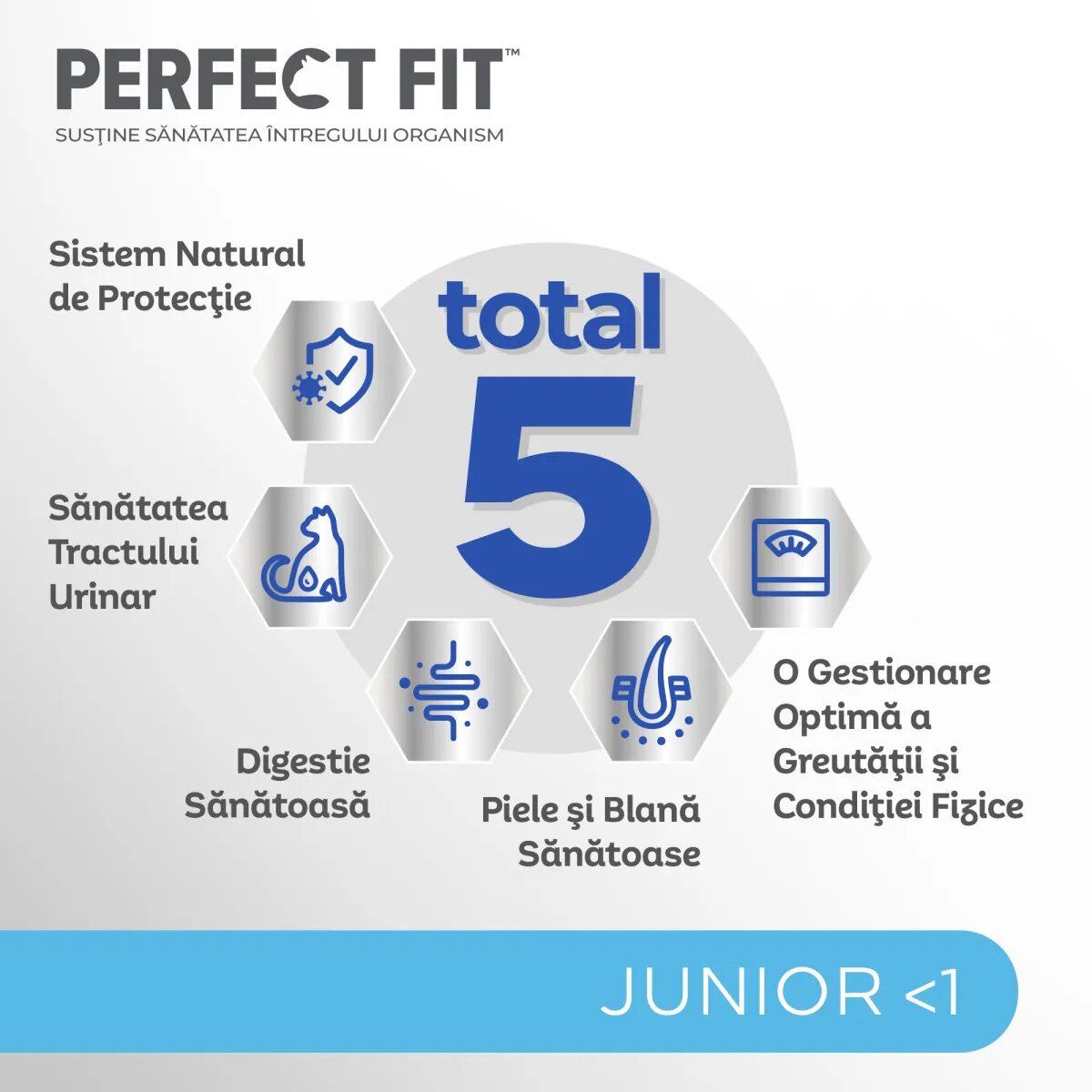 PERFECT FIT Kitten Pui hrană uscată pisici junior 750g