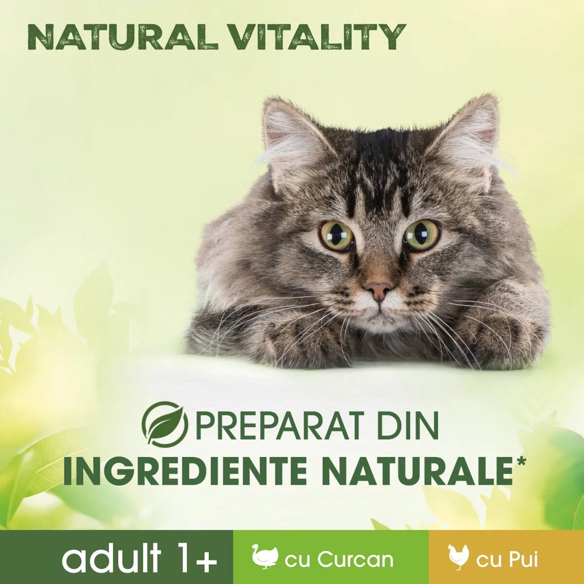 PERFECT FIT Natural Vitality Curcan și Pui plic hrană umedă fără cereale pisici (în sos) multipack 50g x 6buc