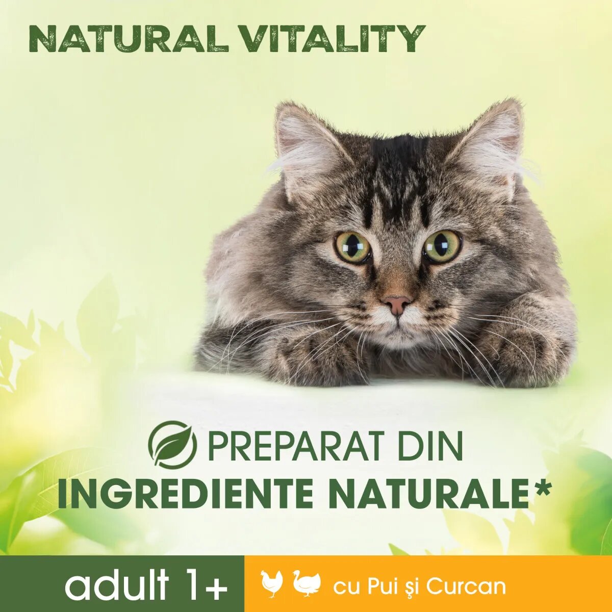 PERFECT FIT Natural Vitality Pui și Curcan hrană uscată pisici 650g