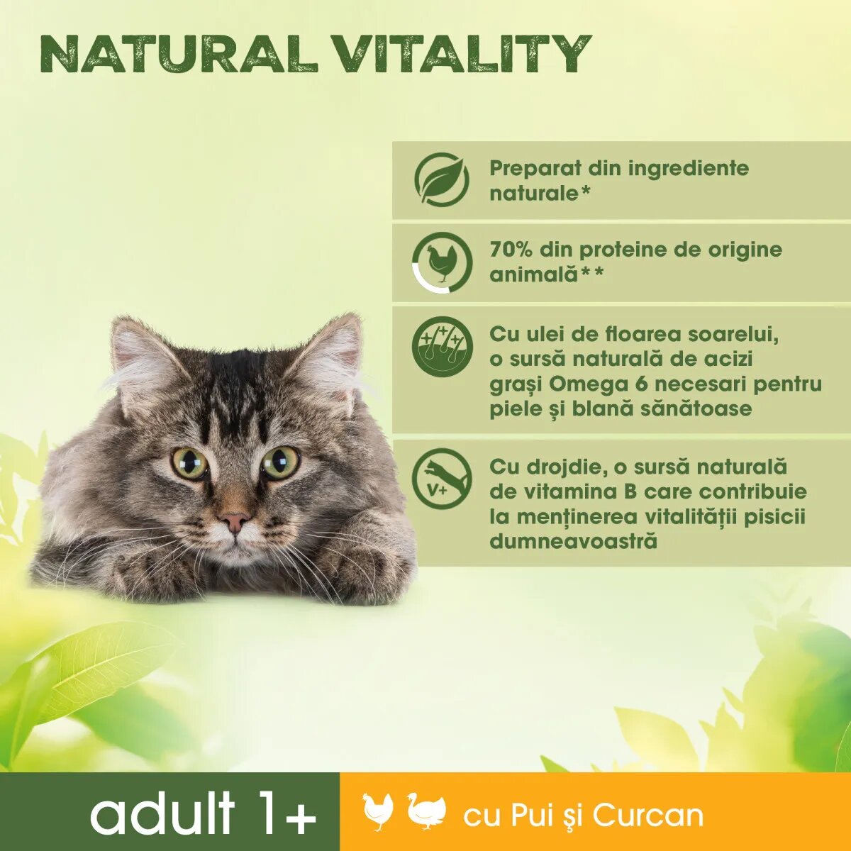 PERFECT FIT Natural Vitality Pui și Curcan hrană uscată pisici 650g