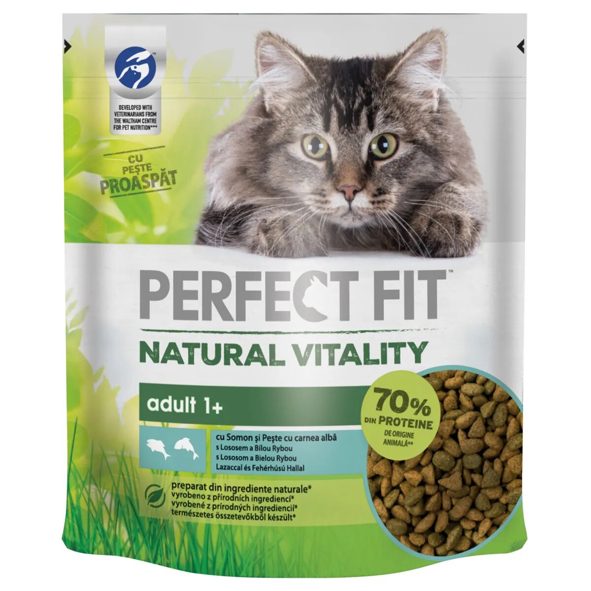 PERFECT FIT Natural Vitality Somon și Pește alb hrană uscată pisici 650g