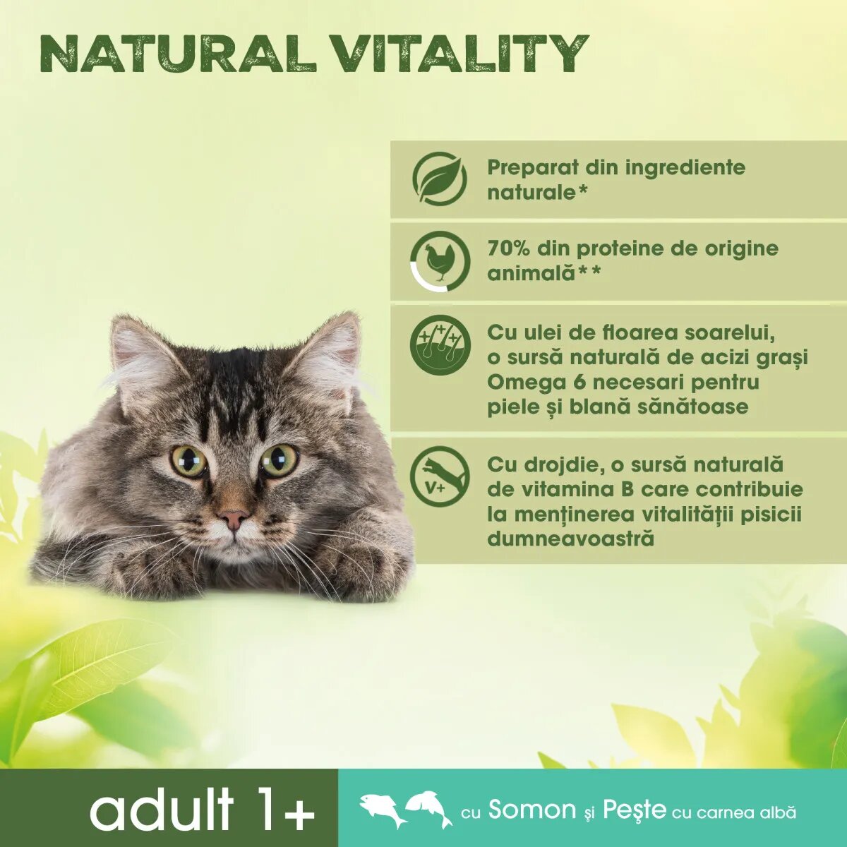 PERFECT FIT Natural Vitality Somon și Pește alb hrană uscată pisici 650g