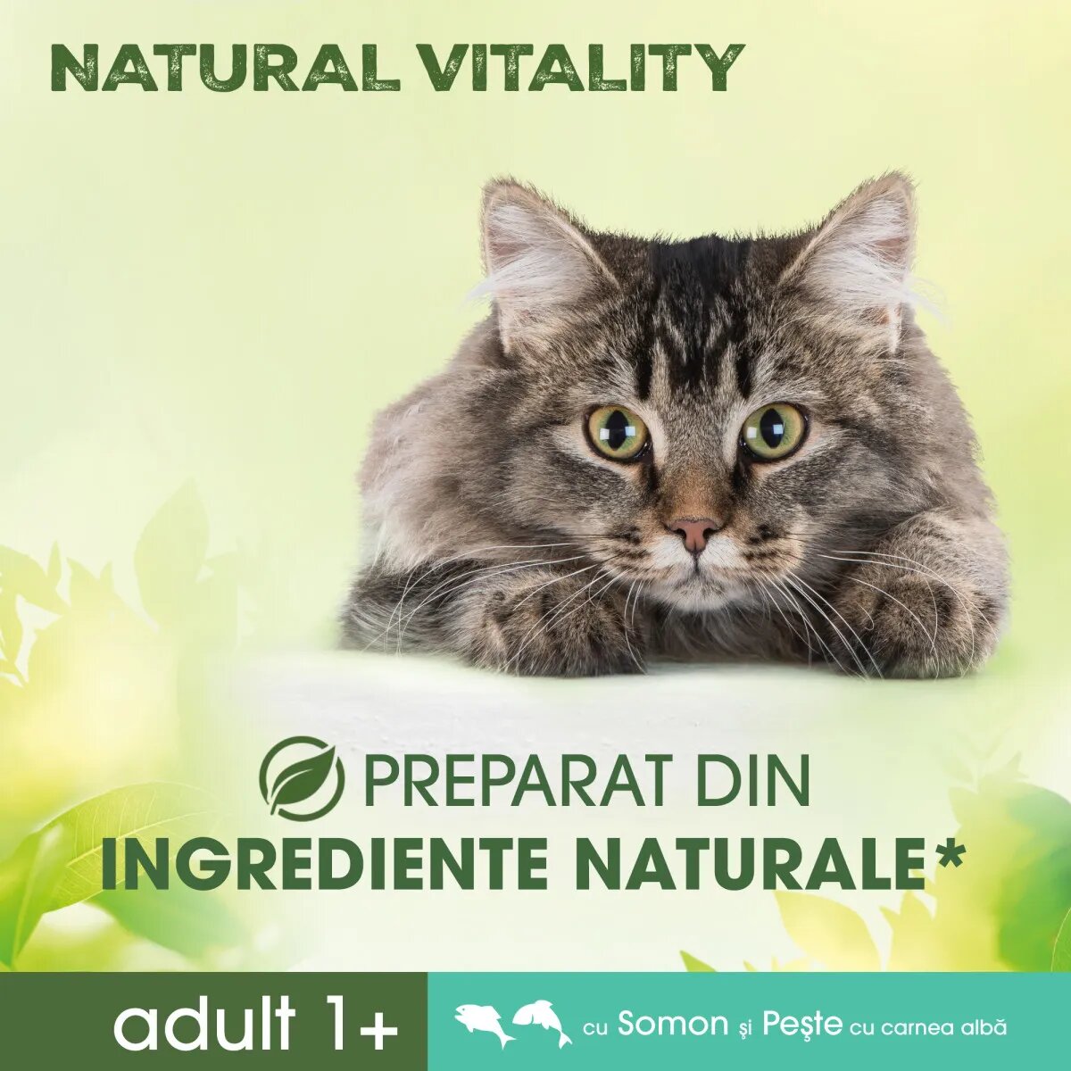 PERFECT FIT Natural Vitality Somon și Pește alb hrană uscată pisici 650g