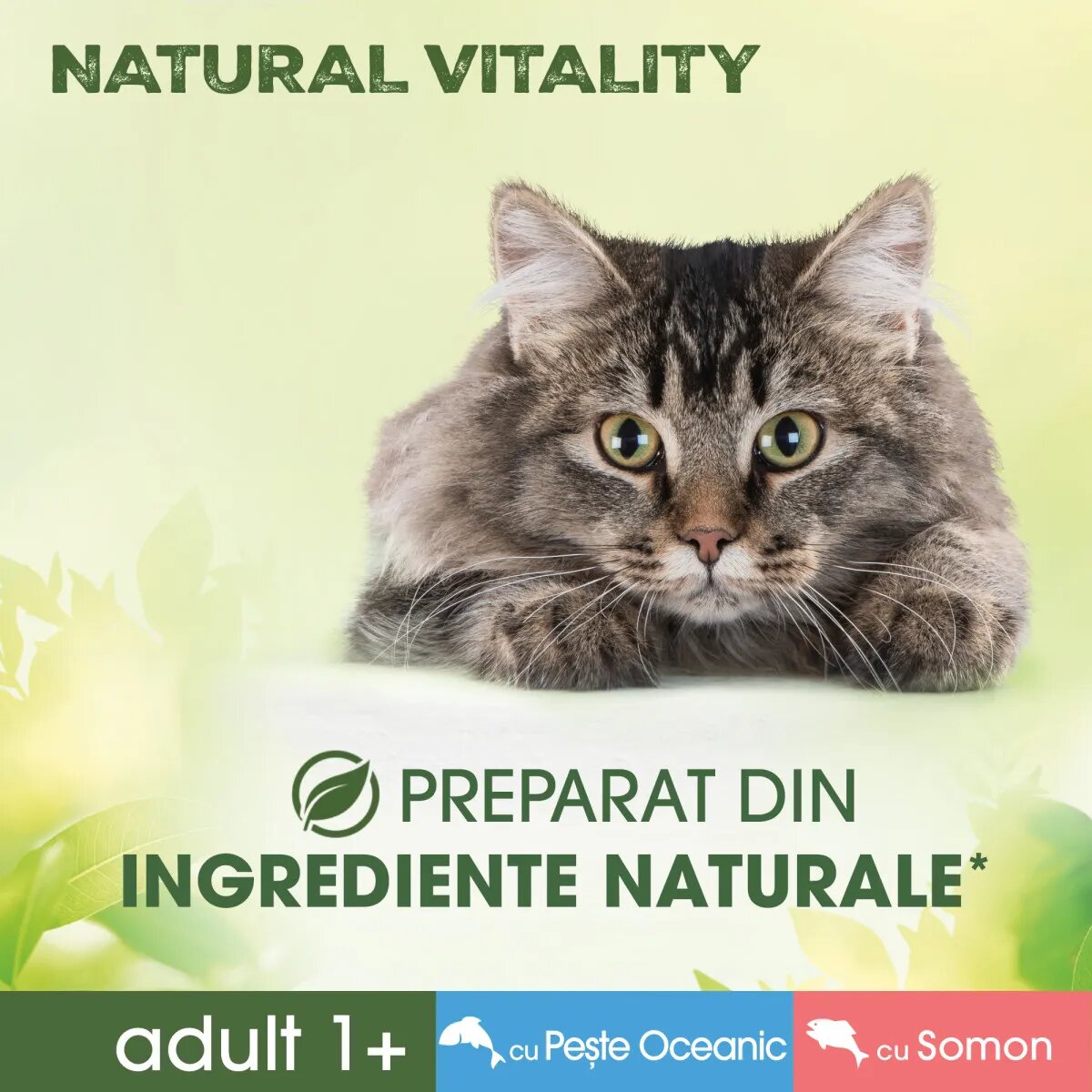 PERFECT FIT Natural Vitality Somon și Pește plic hrană umedă fără cereale pisici (în sos) multipack 50g x 6buc
