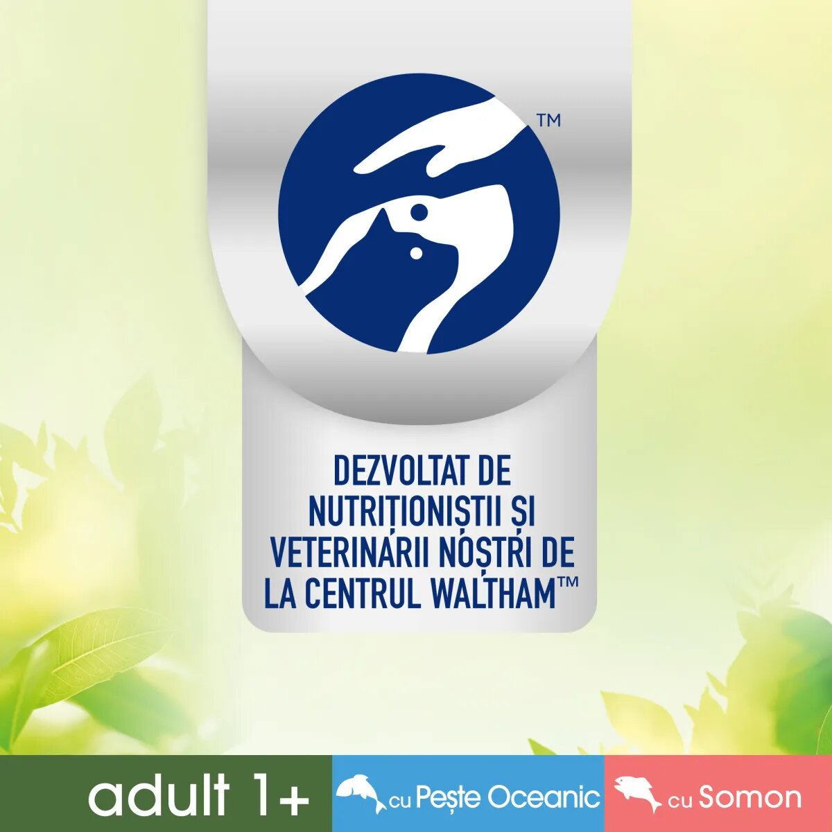 PERFECT FIT Natural Vitality Somon și Pește plic hrană umedă fără cereale pisici (în sos) multipack 50g x 6buc
