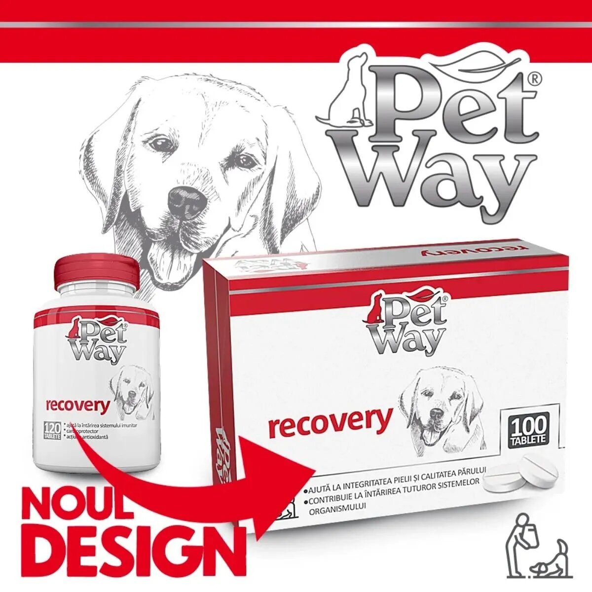 Petway Recovery XS-XL supliment convalescență câini cutie 100 comprimate