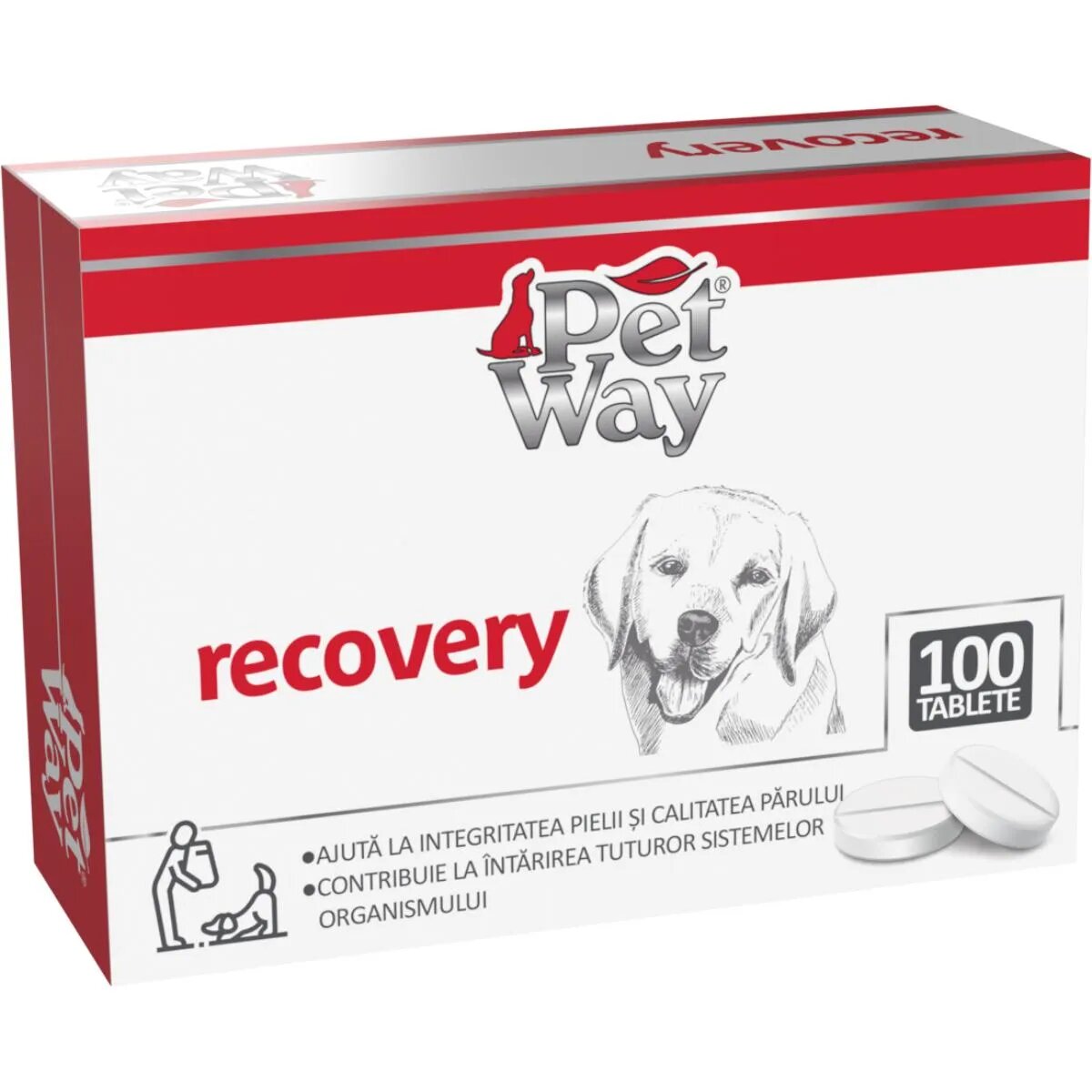 Petway Recovery XS-XL supliment convalescență câini cutie 100 comprimate