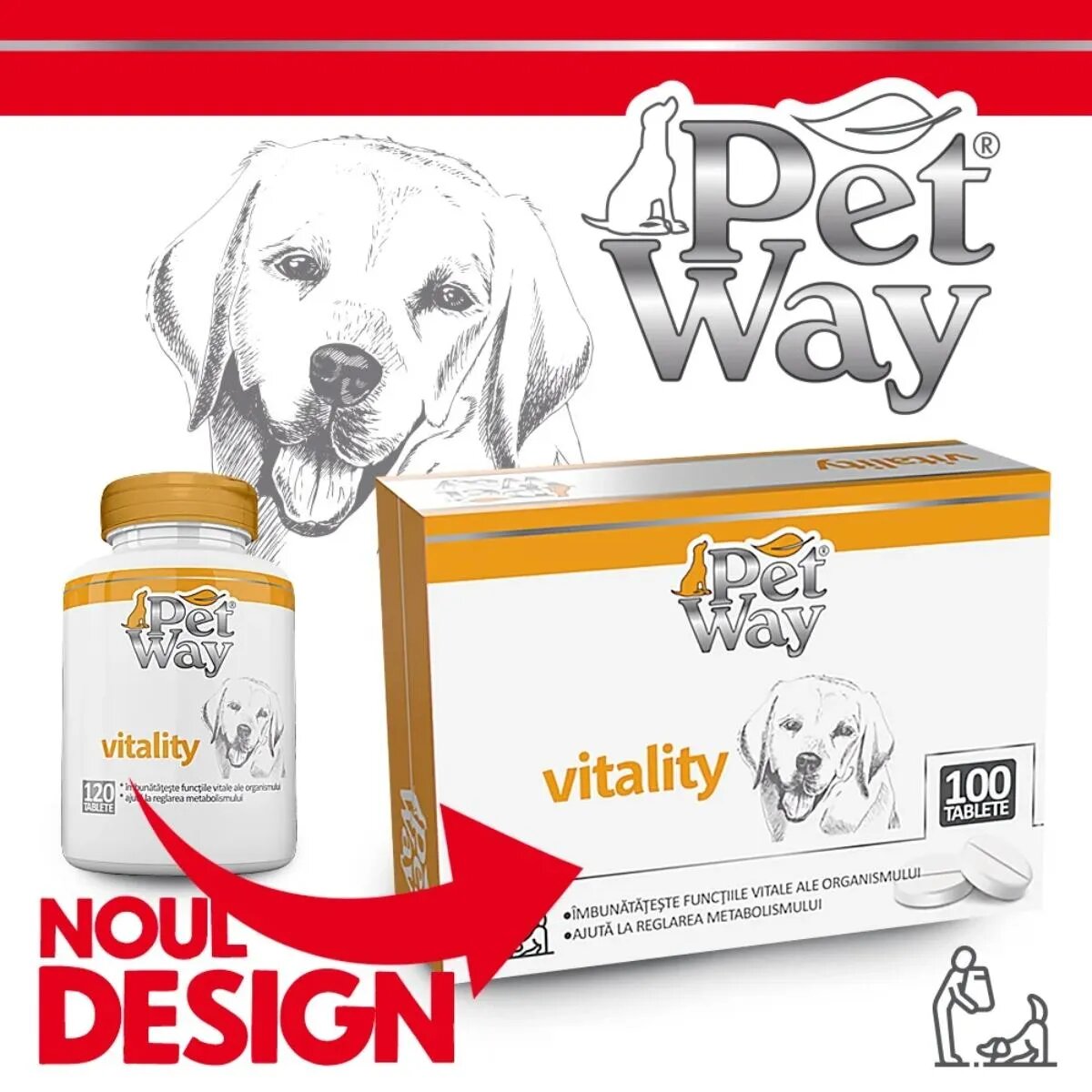 Petway Vitality XS-XL supliment multivitamine sistem imunitar & alergii câini cutie 100 comprimate
