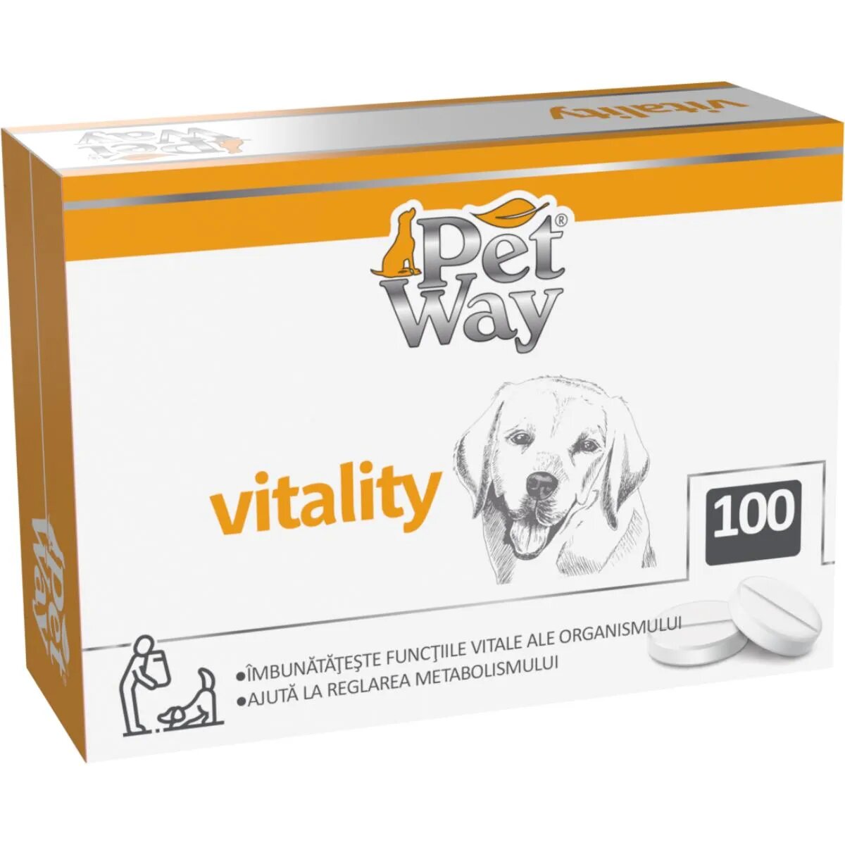 Petway Vitality XS-XL supliment multivitamine sistem imunitar & alergii câini cutie 100 comprimate