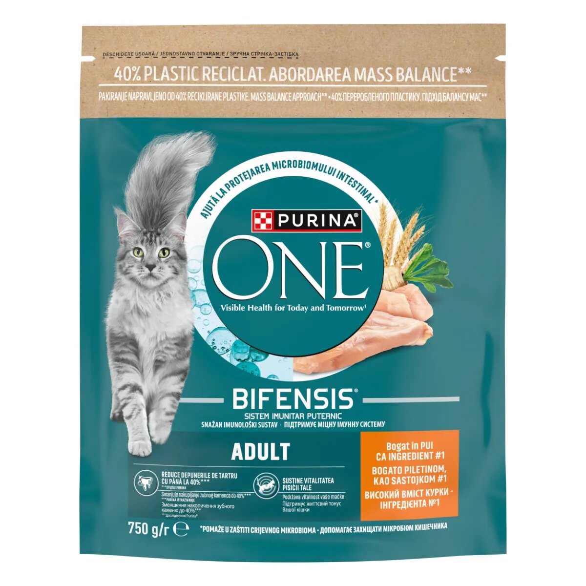 Purina ONE Adult Pui hrană uscată pisici 750g
