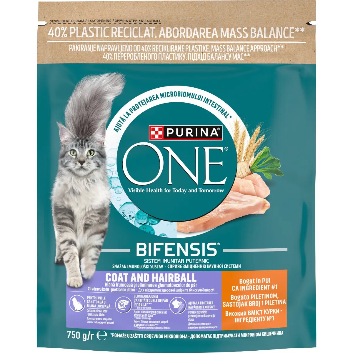 Purina ONE Coat & Hairball Pui hrană uscată pisici piele & blană limitarea ghemurilor de blană 750g