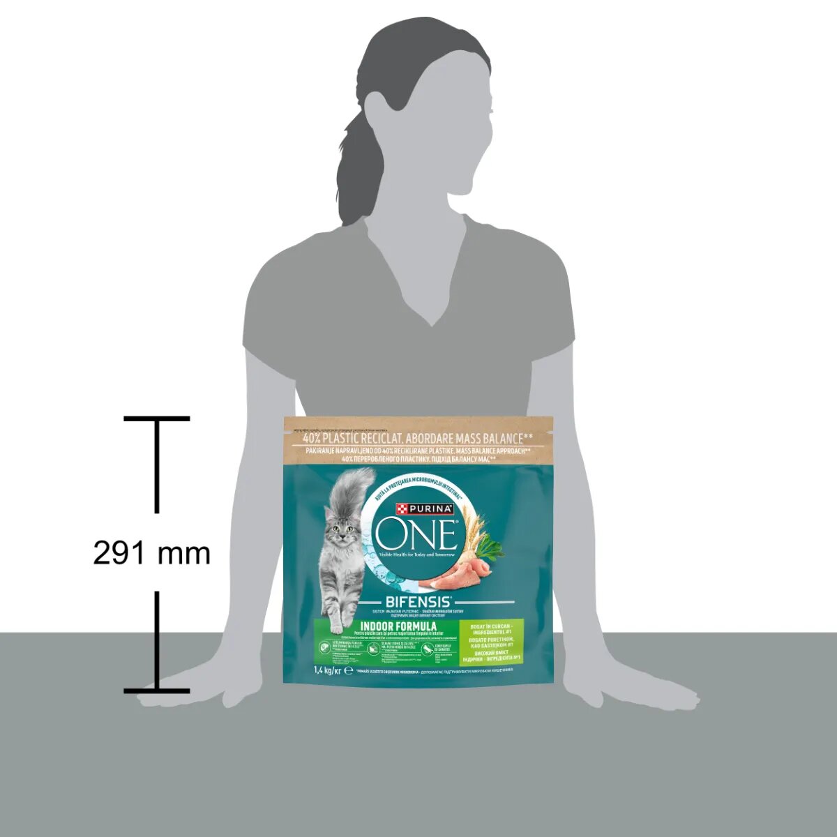 Purina ONE Indoor Curcan și Cereale Integrale hrană uscată pisici 1.4kg