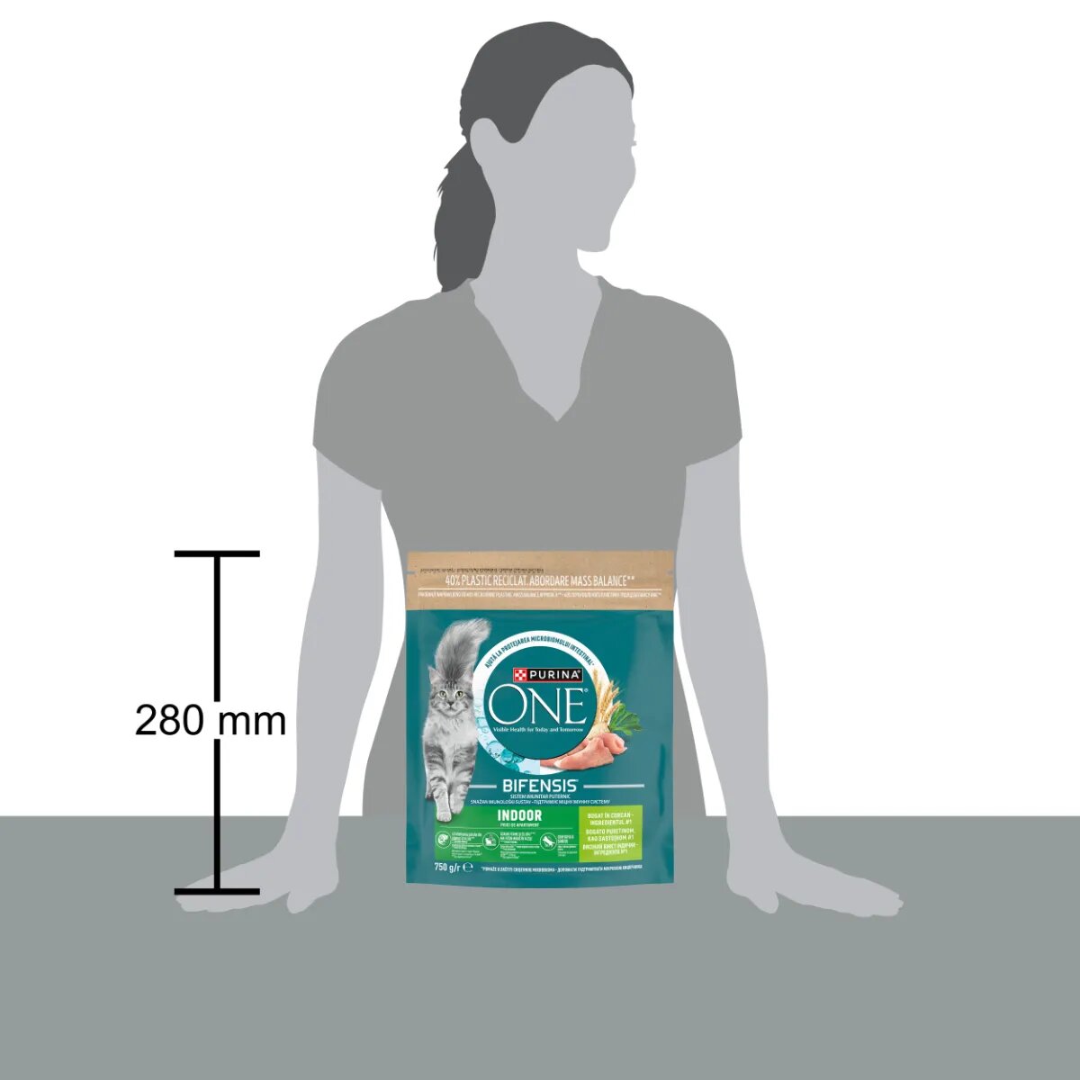 Purina ONE Indoor Curcan și Cereale Integrale hrană uscată pisici 750g