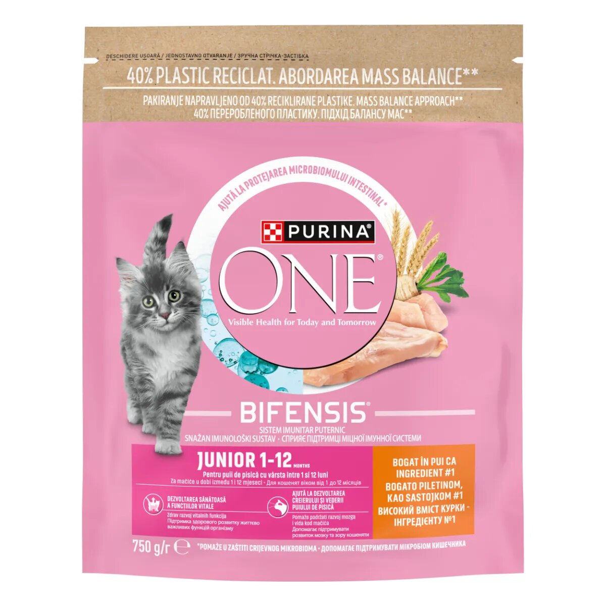 Purina ONE Junior Pui hrană uscată pisici junior 750g