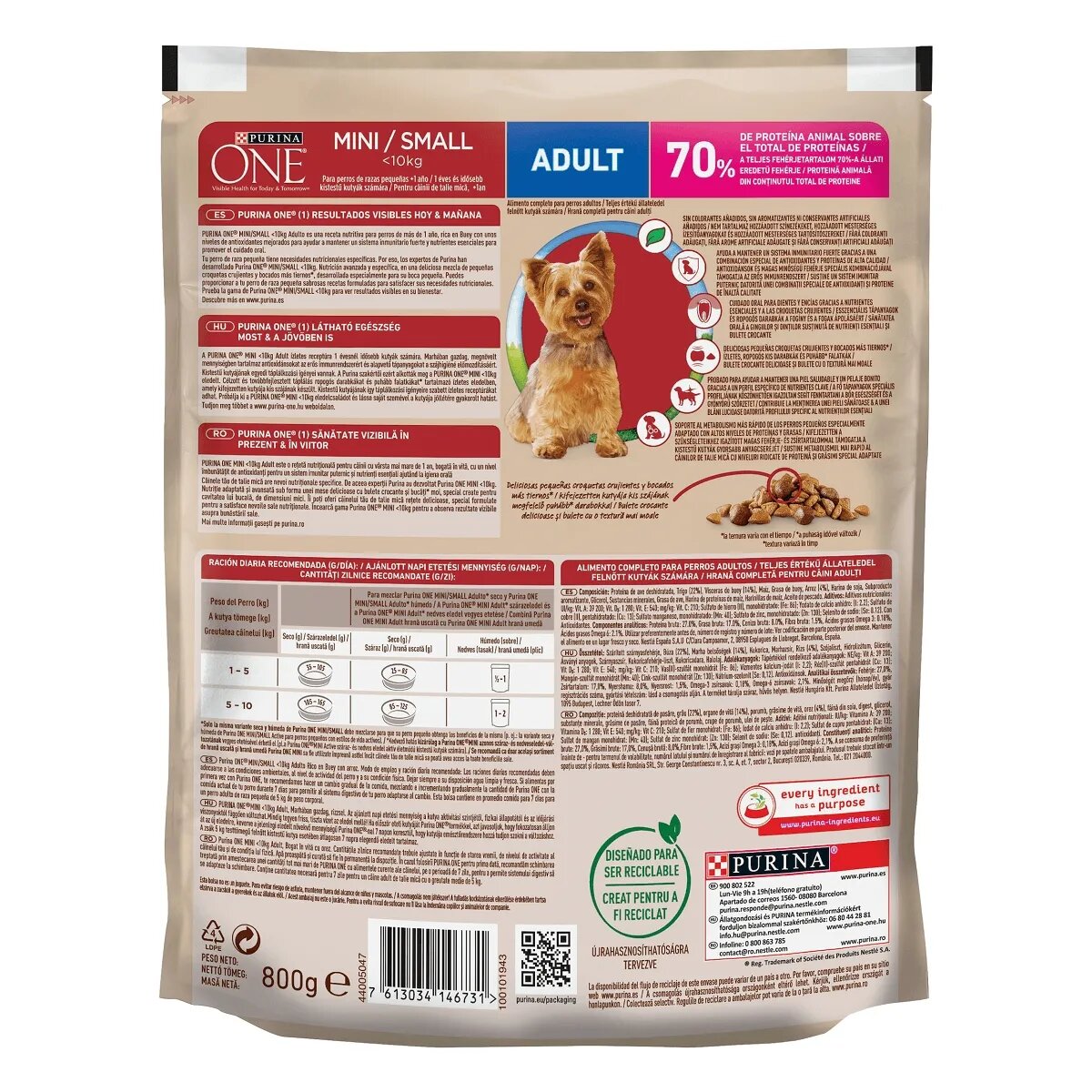 Purina ONE Mini Adult Vită cu Orez hrană uscată câini 800g